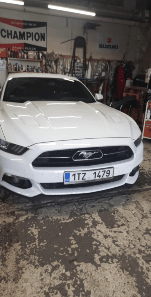 autoskla_mustang